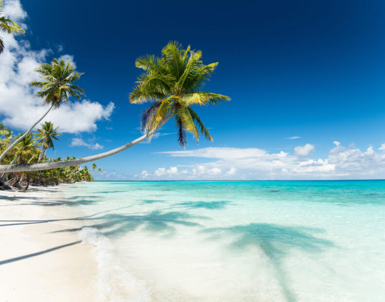 Fakarava Beach (Fakarava)