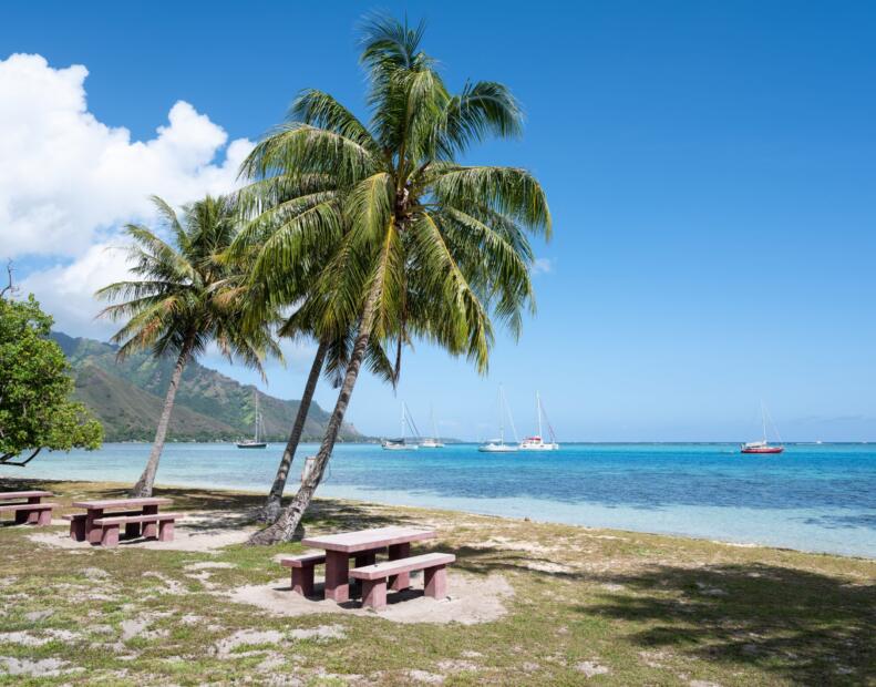 Opunohu Beach (Moorea)