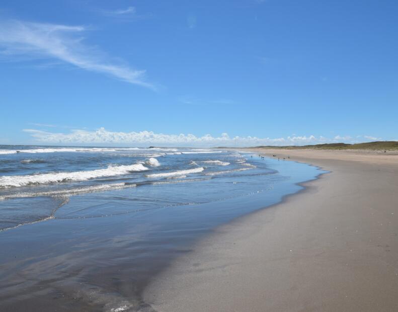 Kujukuri Beach