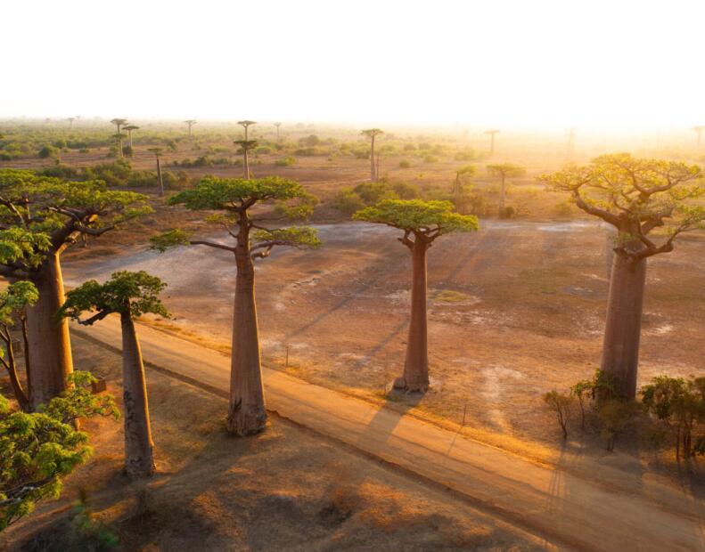 Pogoda na Madagaskarze w maju