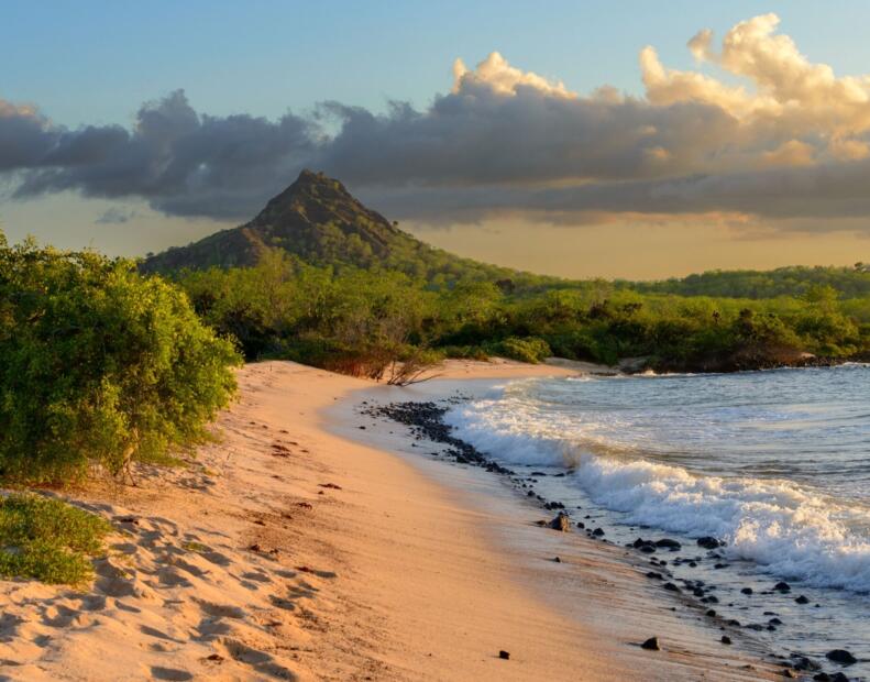 Pogoda na Galapagos w styczniu