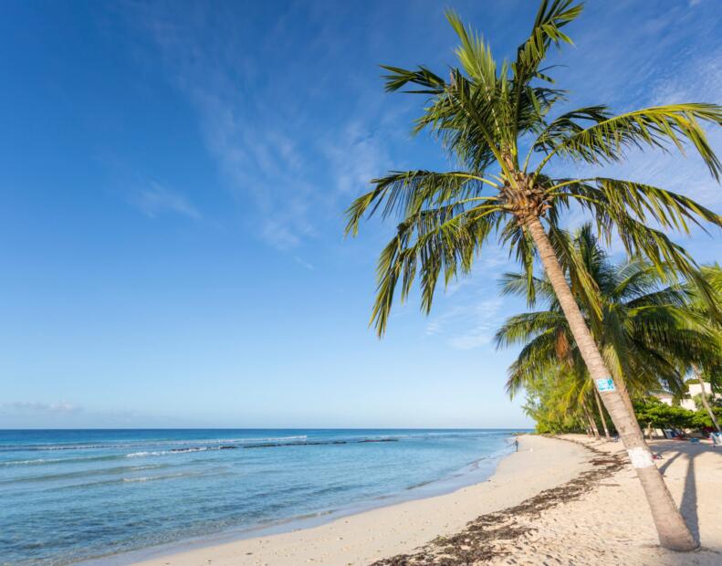 Pogoda na Barbados w styczniu