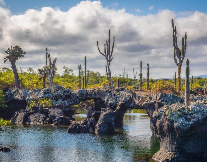 Pogoda na Galapagos w maju