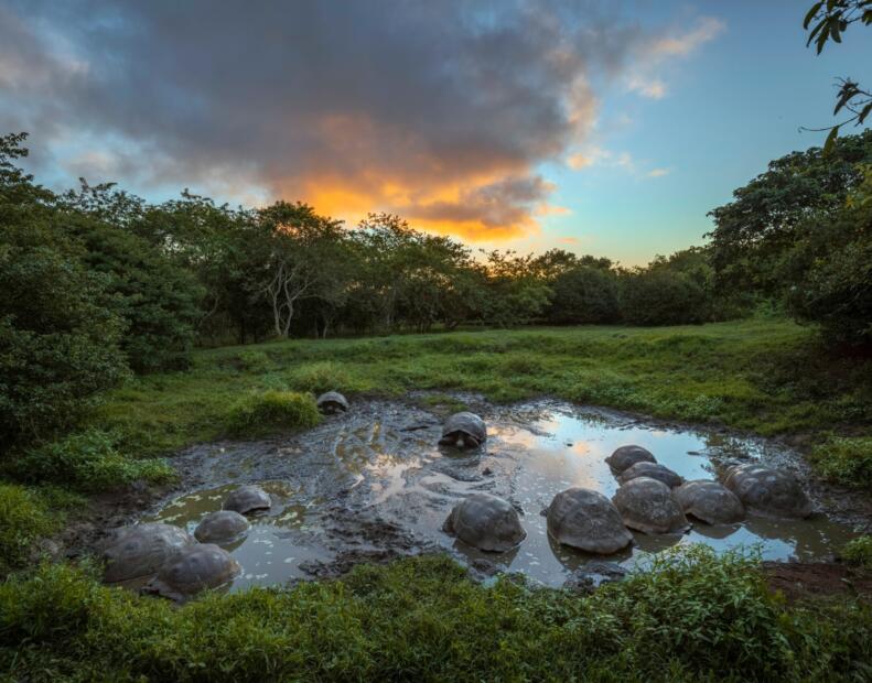 Pogoda na Galapagos w listopadzie