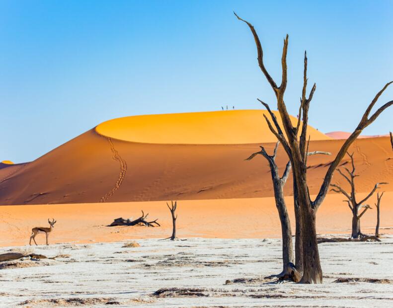 Kiedy najcieplej w Namibii?