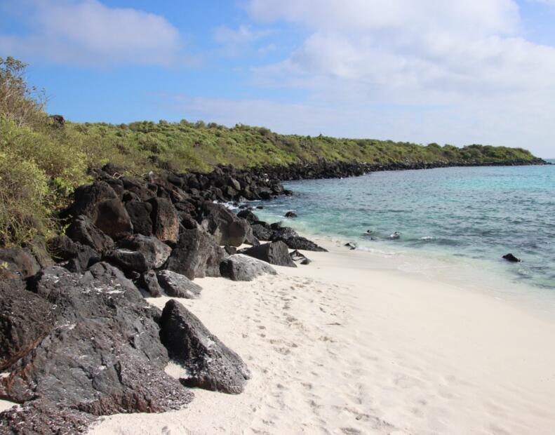 Z jakich polskich lotnisk polecisz bezpośrednio na Galapagos?