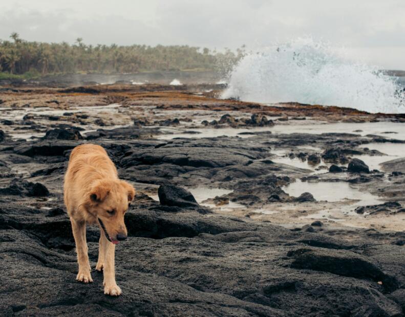 Pogoda na Samoa we wrześniu