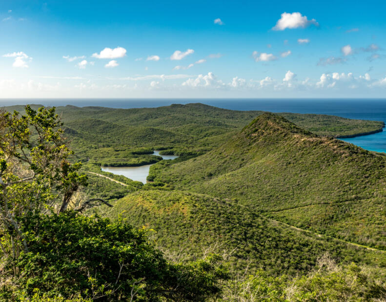 Pogoda na Curacao w listopadzie