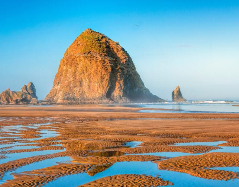 Cannon Beach