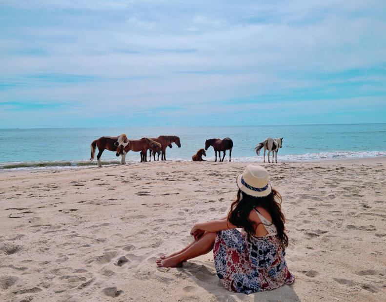 Assateague Island National Seashore