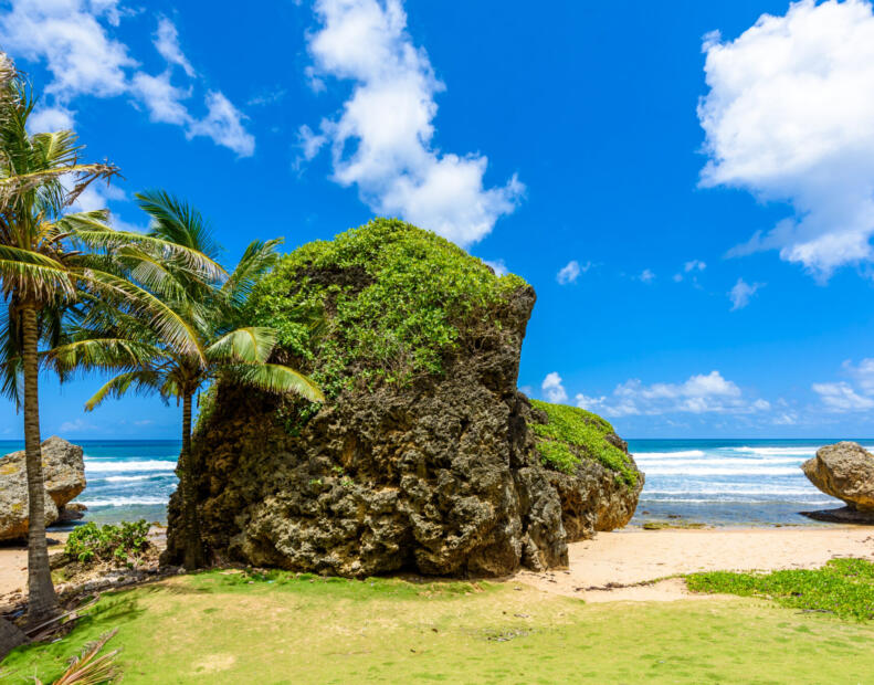 Bathsheba Beach