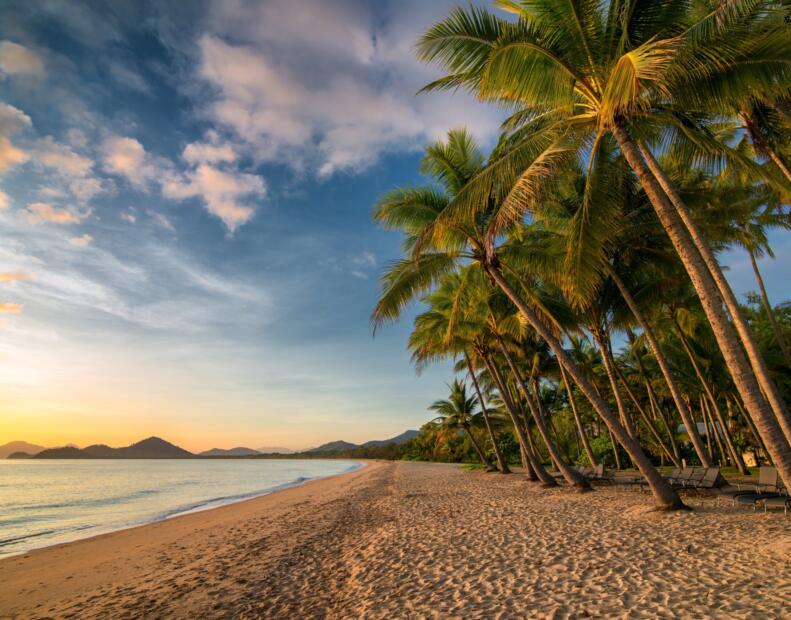 Palm Cove