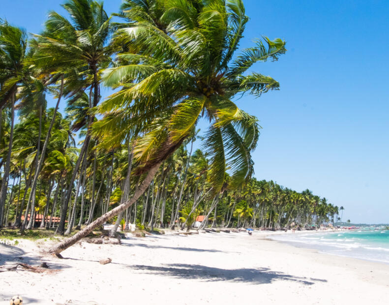 Praia dos Carneiros