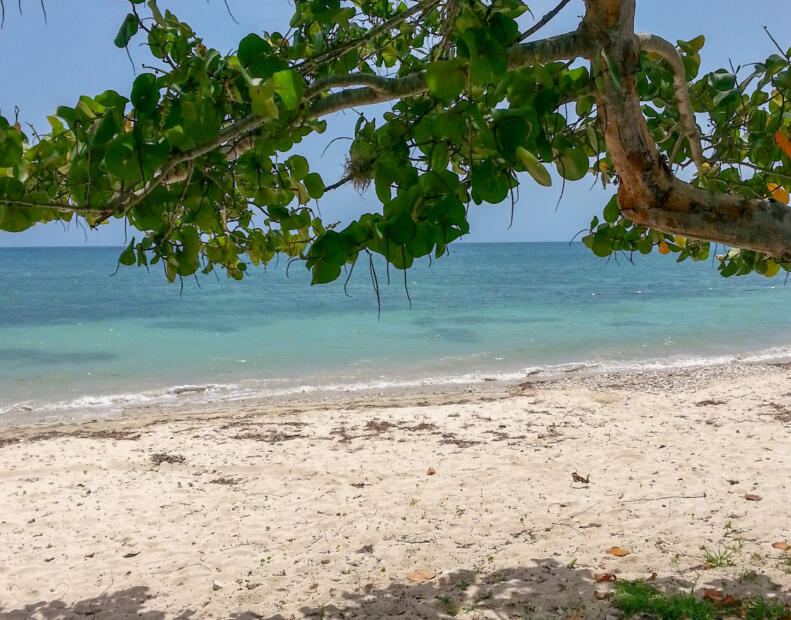 Bluefields Beach