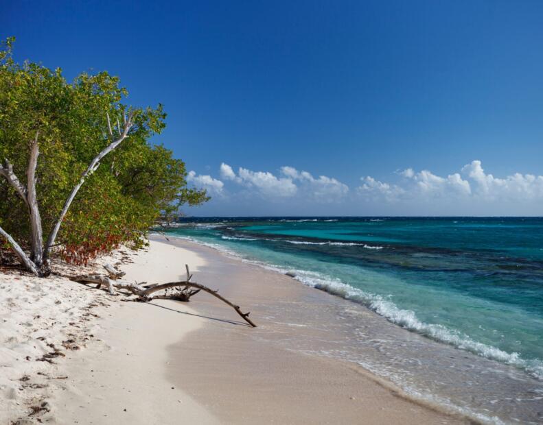 Lime Cay