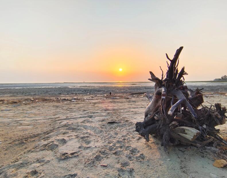 Bashbaria Beach