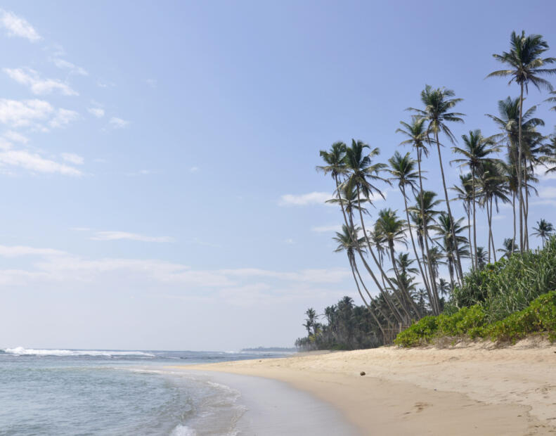 Polhena Beach