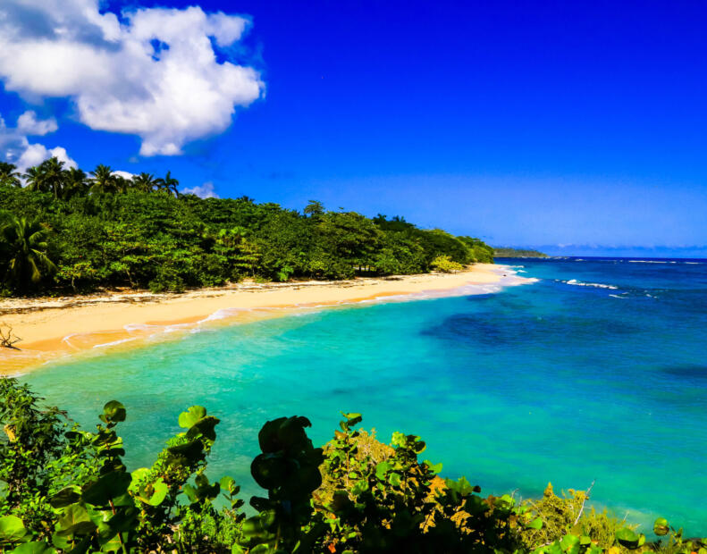 Playa Maguana