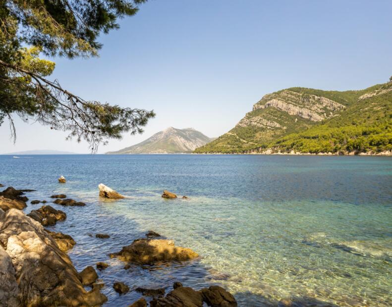 Žuljana