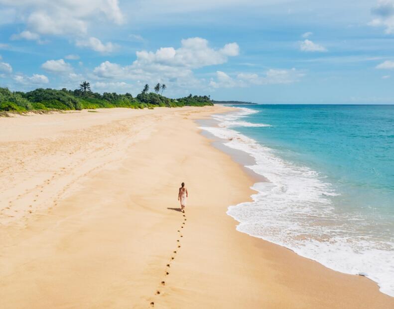 Czym charakteryzują się plaże na Sri Lance?