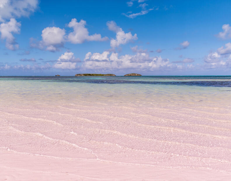 Pink Sands Beach