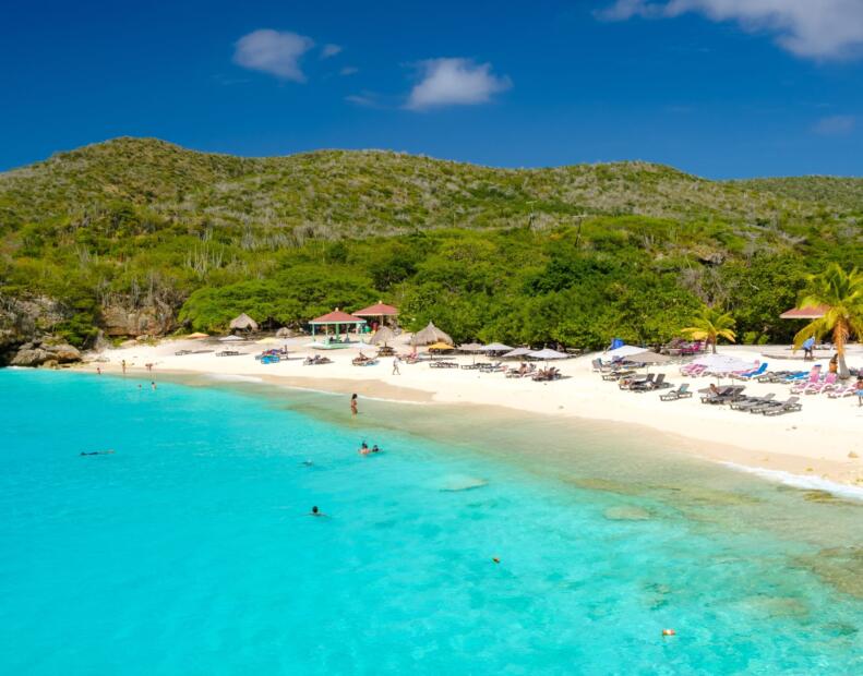 Grote Knip