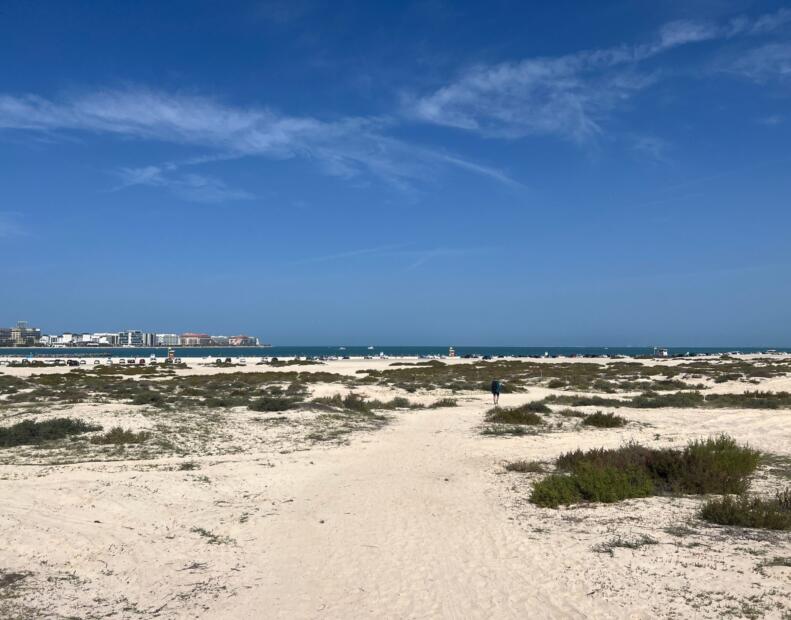 Al Sufouh Beach