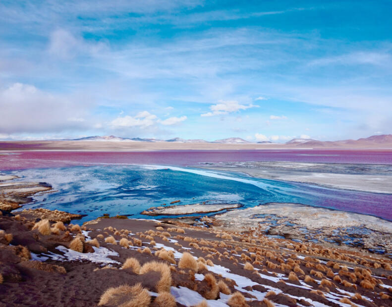 Laguna Colorada