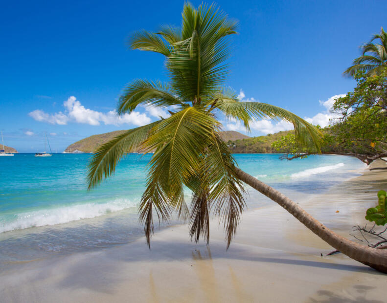 Maho Bay