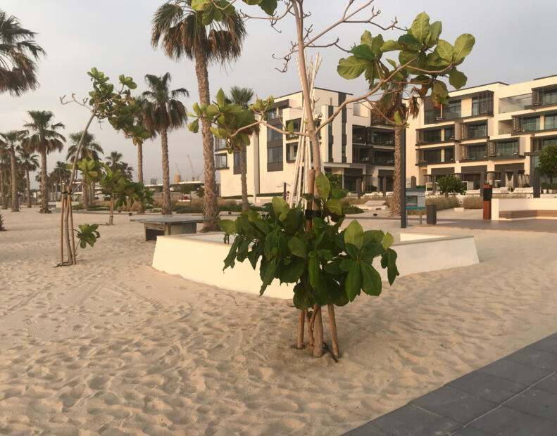 Nikki Beach