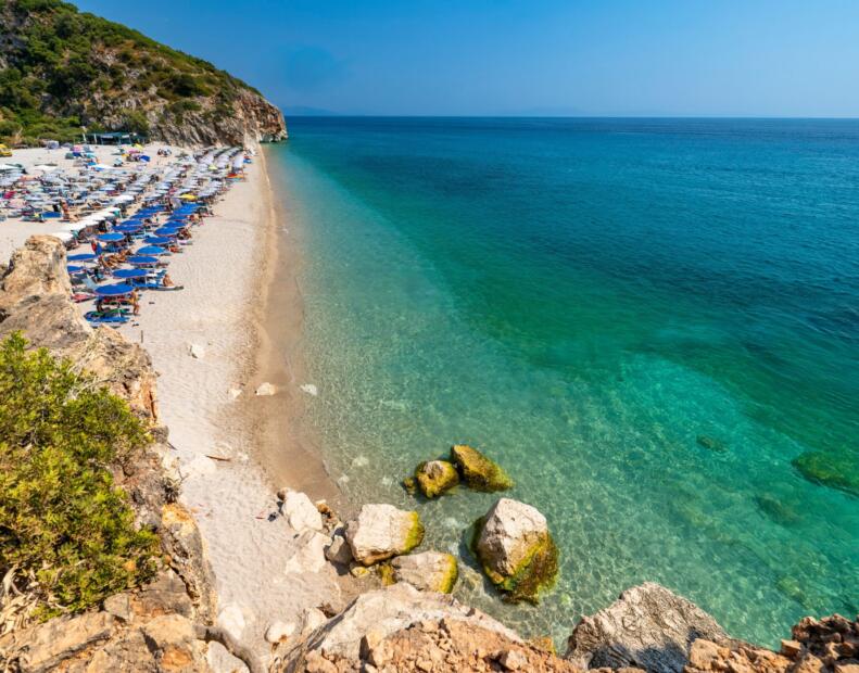 Czy jeżowce można spotkać na plażach Albanii?