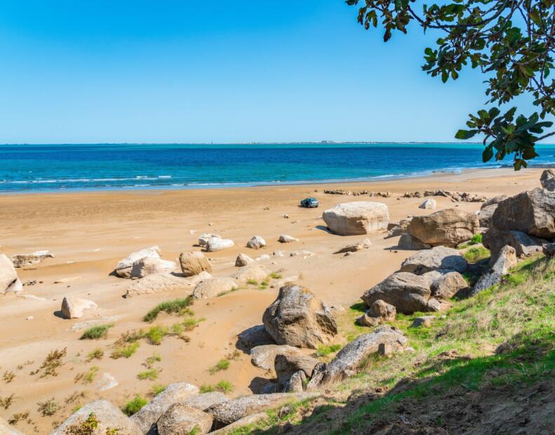 Czy jeżowce można spotkać na plażach Azerbejdżanu?