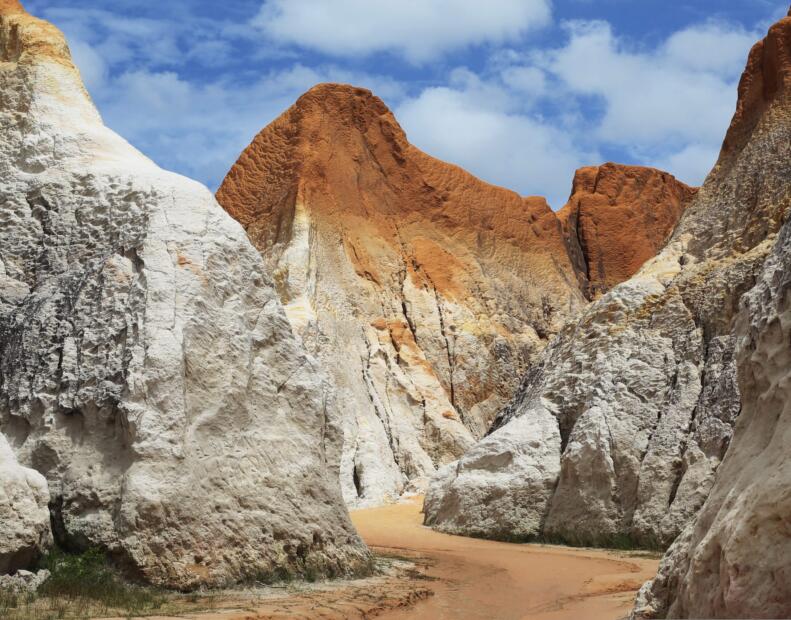Czy jeżowce można spotkać na plażach Brazylii?