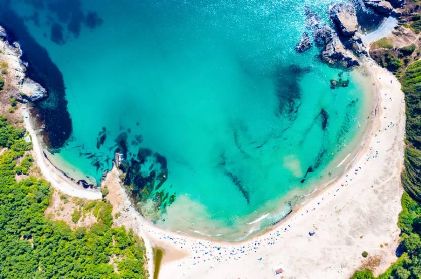 Czy jeżowce można spotkać na plażach Bułgarii?