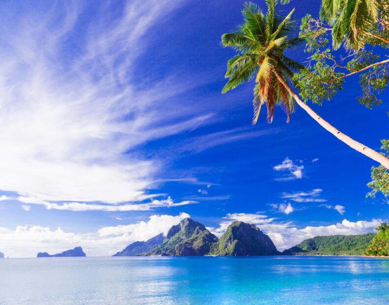 Czy jeżowce można spotkać na plażach Filipin?