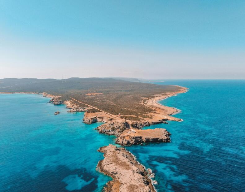 Czy jeżowce można spotkać na plażach Cypru?