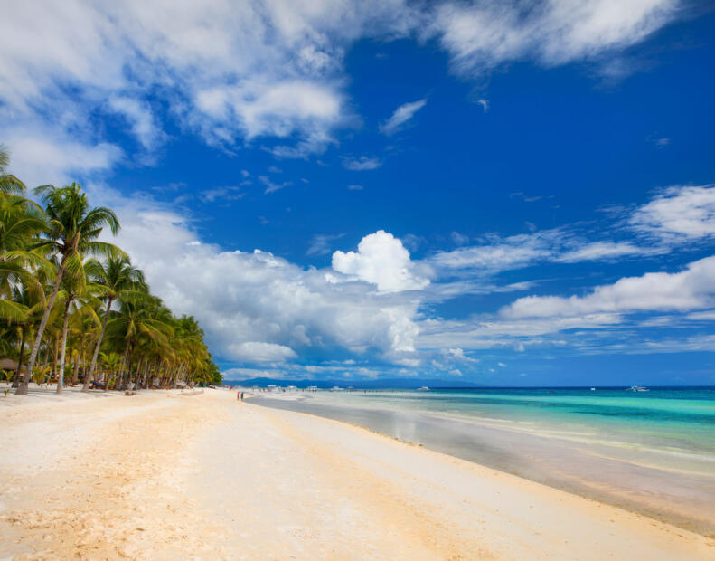 Co zrobić po kontakcie z jeżowcem na Filipinach?