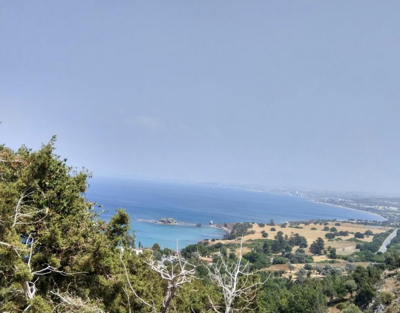 Jak chronić się przed jeżowcami, jeśli występują.