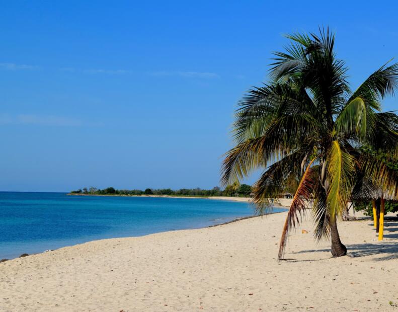 Czy jeżowce można spotkać na plażach Kuby?