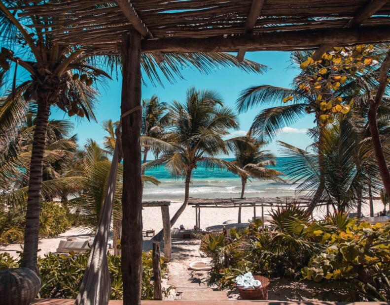 Co zrobić po kontakcie z jeżowcem w Meksyku?