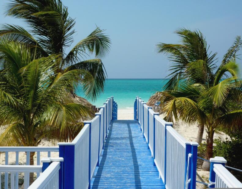 Jak chronić się przed jeżowcami, jeśli występują.