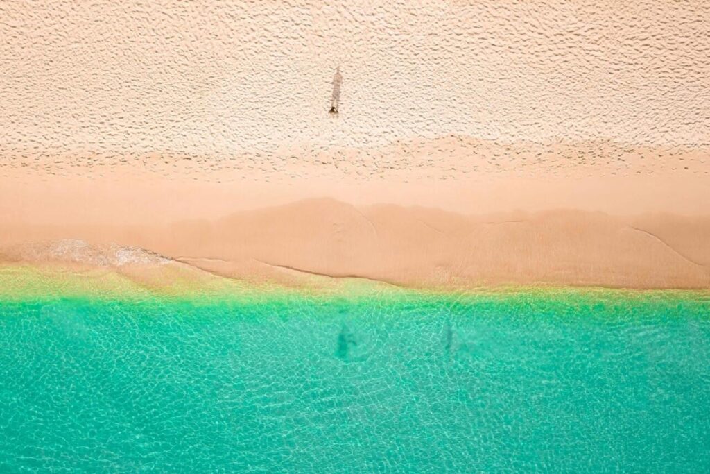 Czy na Barbadosie są jeżowce?