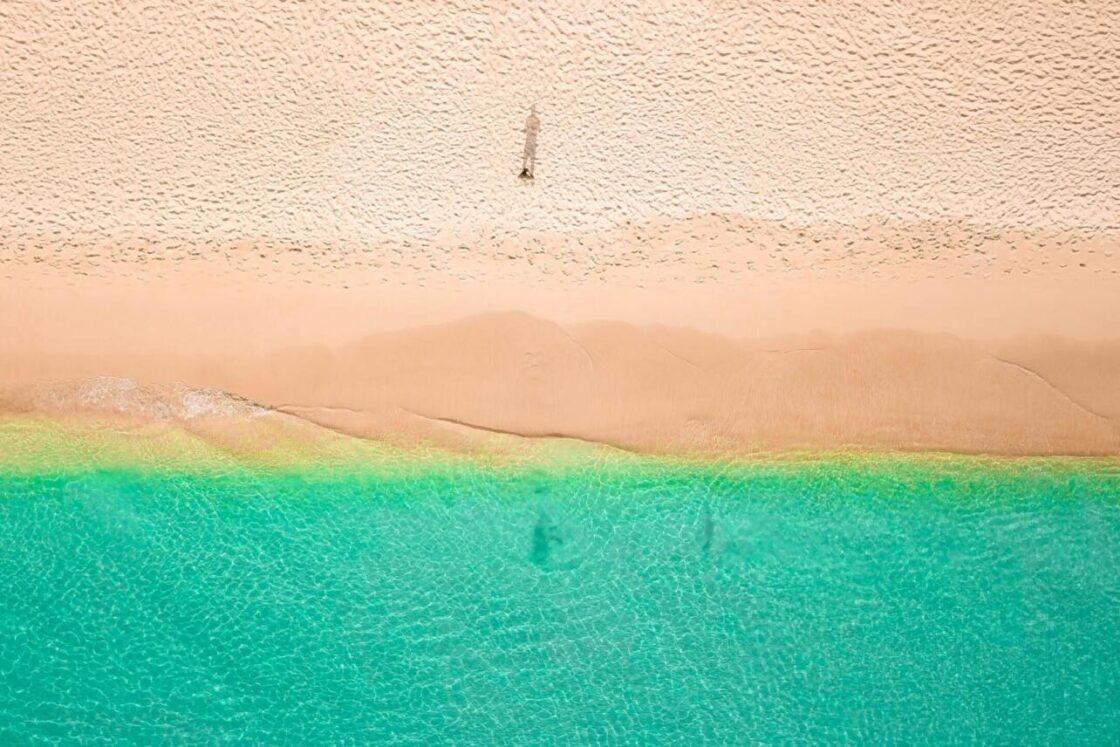 Czy na Barbadosie są jeżowce?