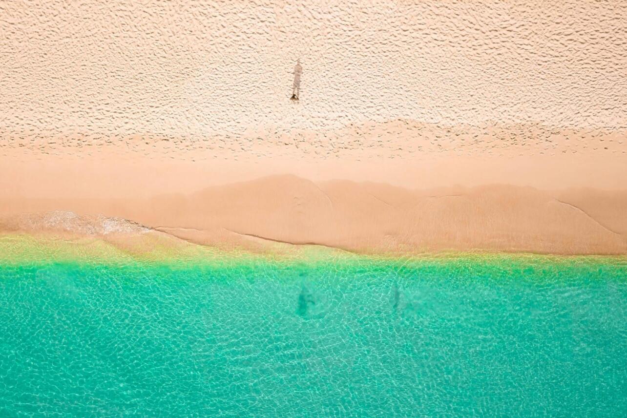 Czy na Barbadosie są jeżowce?