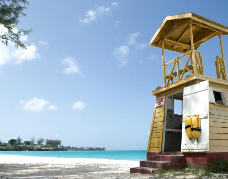 Czy jeżowce można spotkać na plażach Barbadosu?