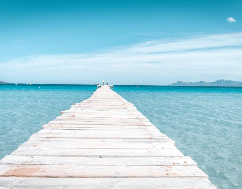 Czy jeżowce można spotkać na plażach Hiszpanii?