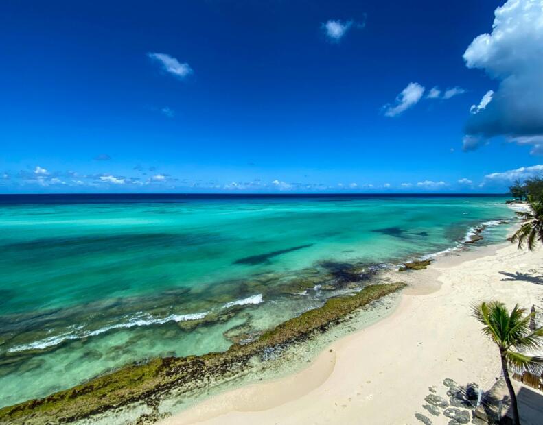 Co zrobić po kontakcie z jeżowcem na Barbadosie?