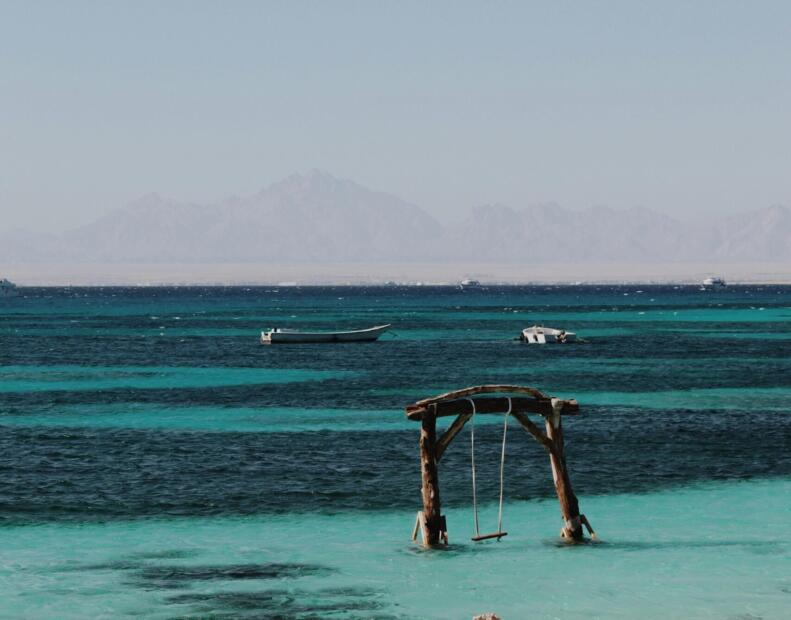 Jak chronić się przed jeżowcami, jeśli występują.