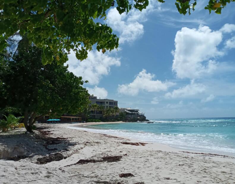 Jak chronić się przed jeżowcami, jeśli występują.