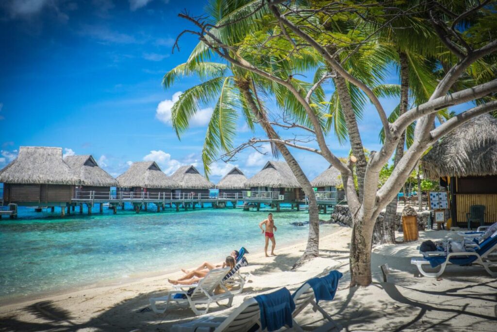 Czy na Bora-Bora są jeżowce?